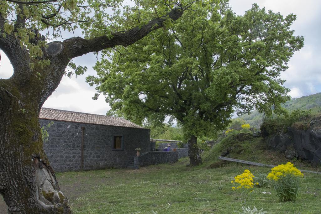 Viola Nel Parco Villa SantʼAlfio Buitenkant foto