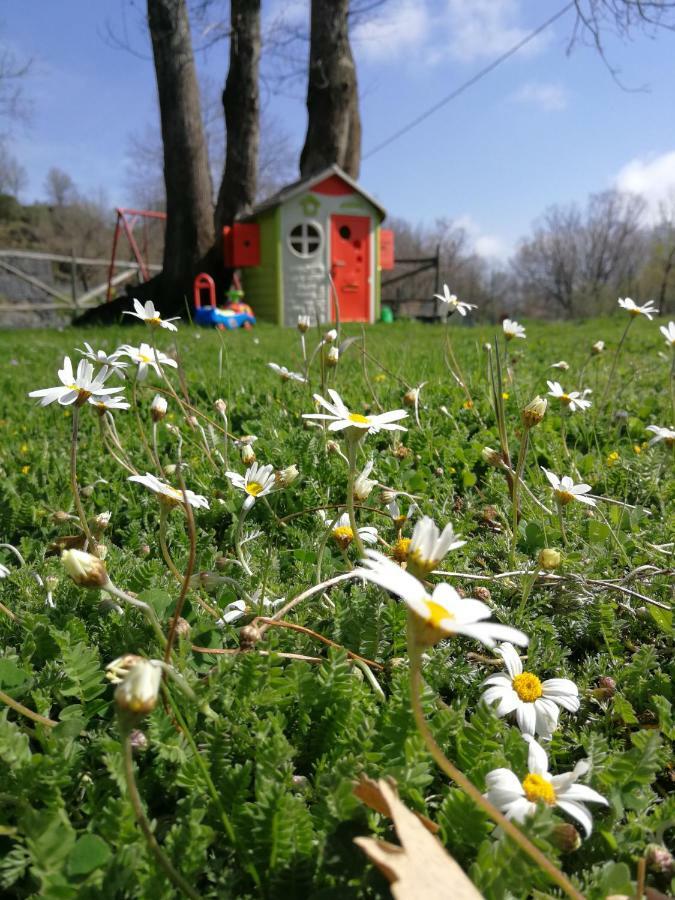 Viola Nel Parco Villa SantʼAlfio Buitenkant foto